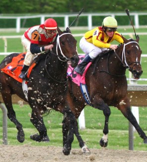 This is not a horserace.