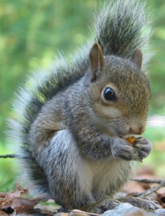 Yeah, it seems like a pretty good life.