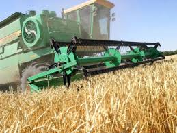 Threshing wheat in Ukraine.  It's still non-GMO by law to this day.