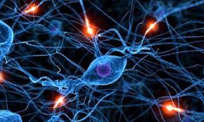 Our brain remembers by making new connections, so the concept is central to our entire thought process.