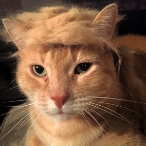 This is as close to a picture of him that I'll use.